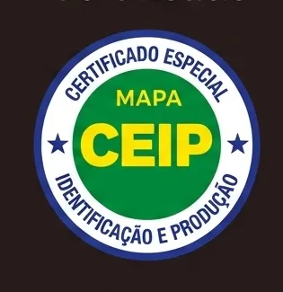Logo CEIP