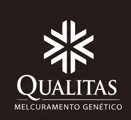 Logo Qualitas
